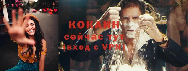 индика Ростов