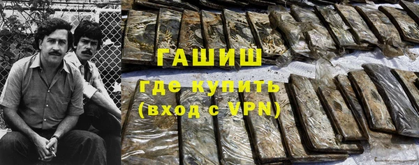 индика Ростов
