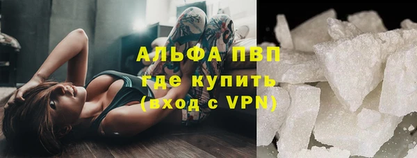 индика Ростов