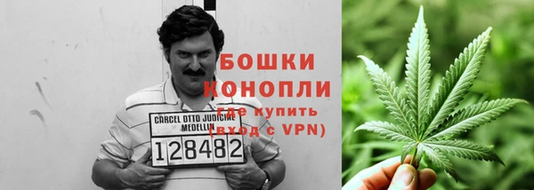 индика Ростов