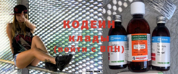 индика Ростов
