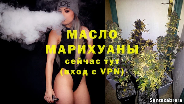 индика Ростов