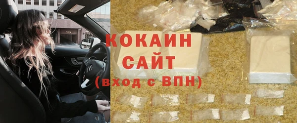индика Ростов