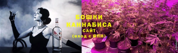 индика Ростов