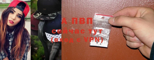 индика Ростов