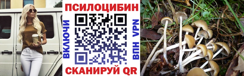 blacksprut ONION  Вилюйск  Псилоцибиновые грибы ЛСД  купить  